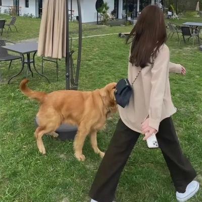 血点