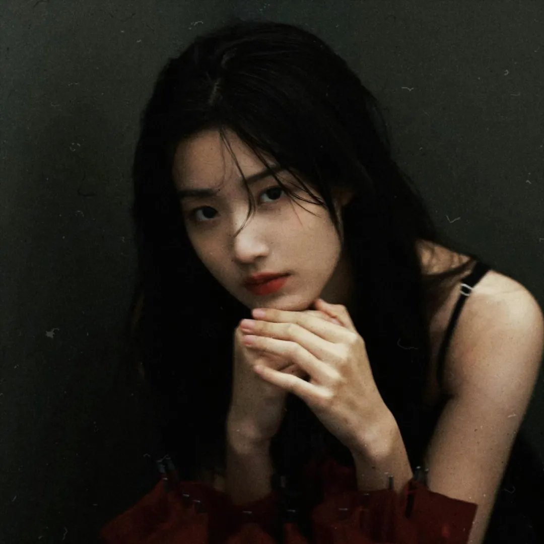 蒂科与鲨鱼